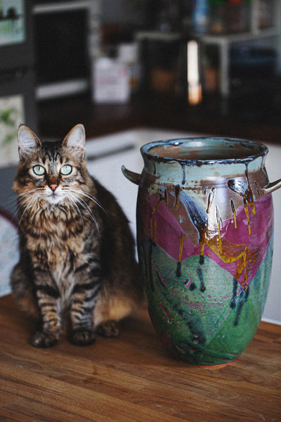 Foto con gatto e vaso arkaika